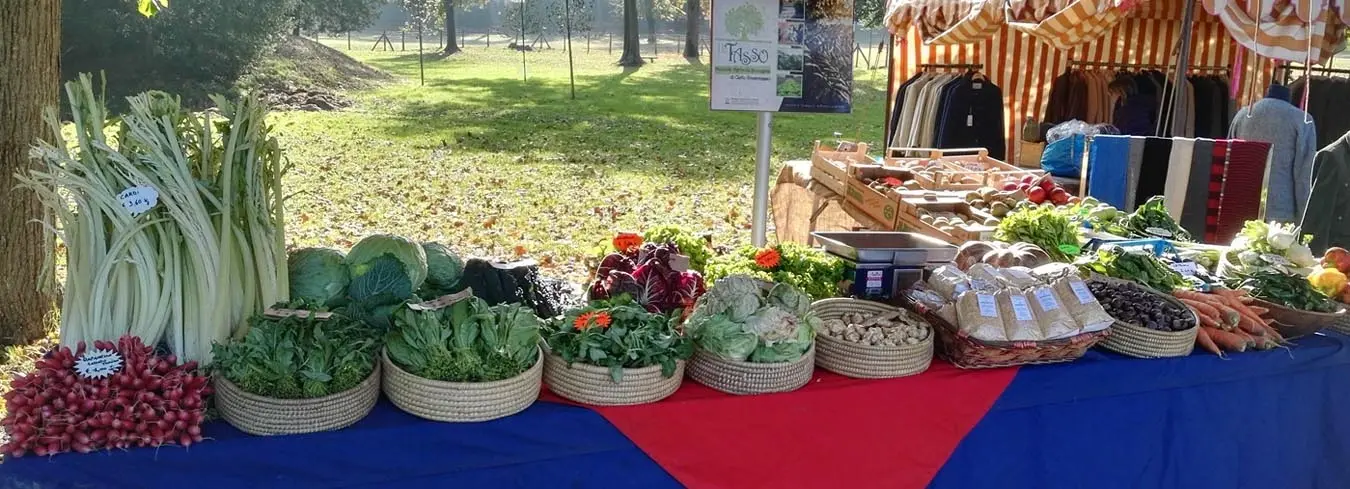 Azienda Agricola Biologica il Tasso