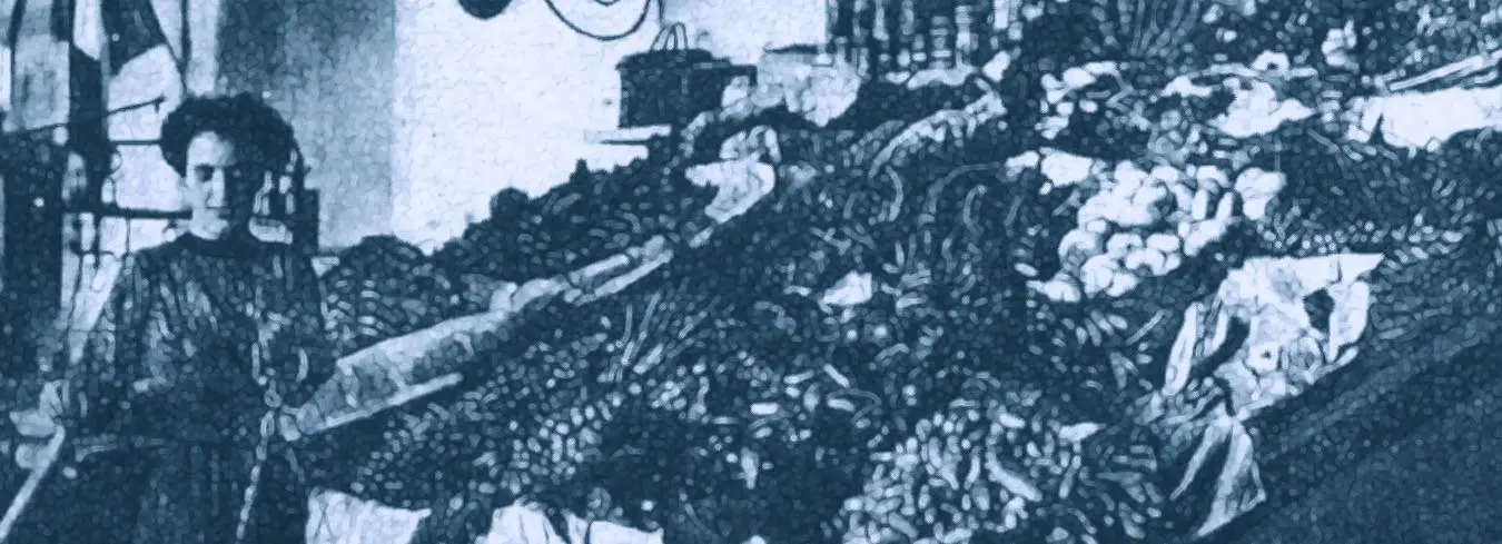 Azienda Agricola Biologica il Tasso