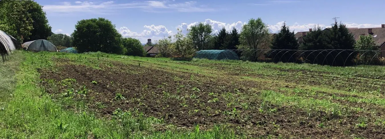 Azienda Agricola Biologica il Tasso
