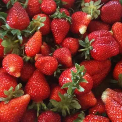 La filosofia di un agricoltore biologico