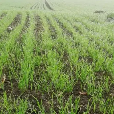 La nostra produzione agricola biologica