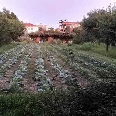 La nostra storia di agricoltori