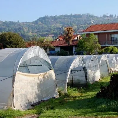 La nostra storia di agricoltori
